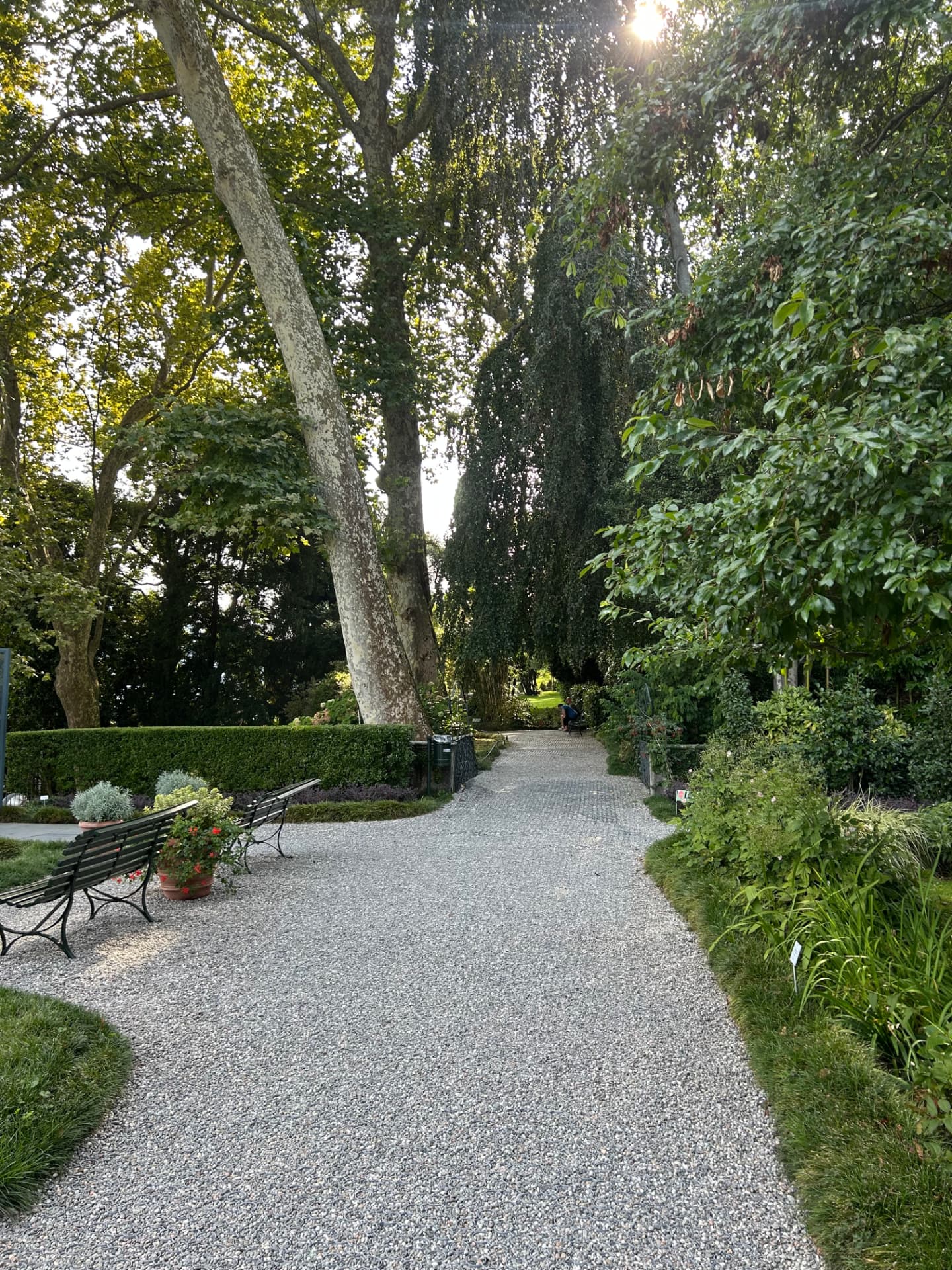 Kiesweg und Bänke im Park der Villa La Collina